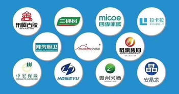 如何在眾多大數據營銷公司中慧眼識珠？選擇靠譜服務商的全面指南